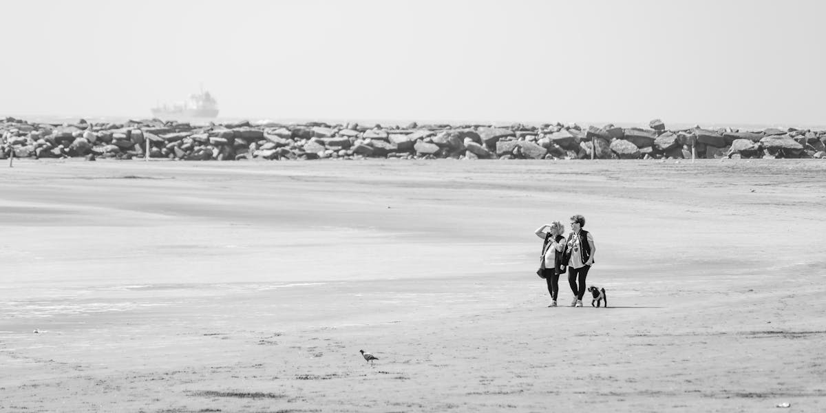 capa de chuva dachshund