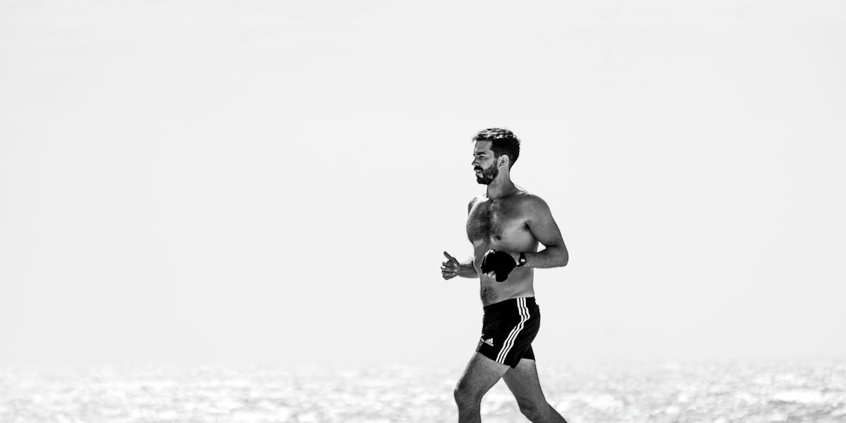 Fotografia divertida para registrar a festa pet Fotografia divertida para registrar a festa pet