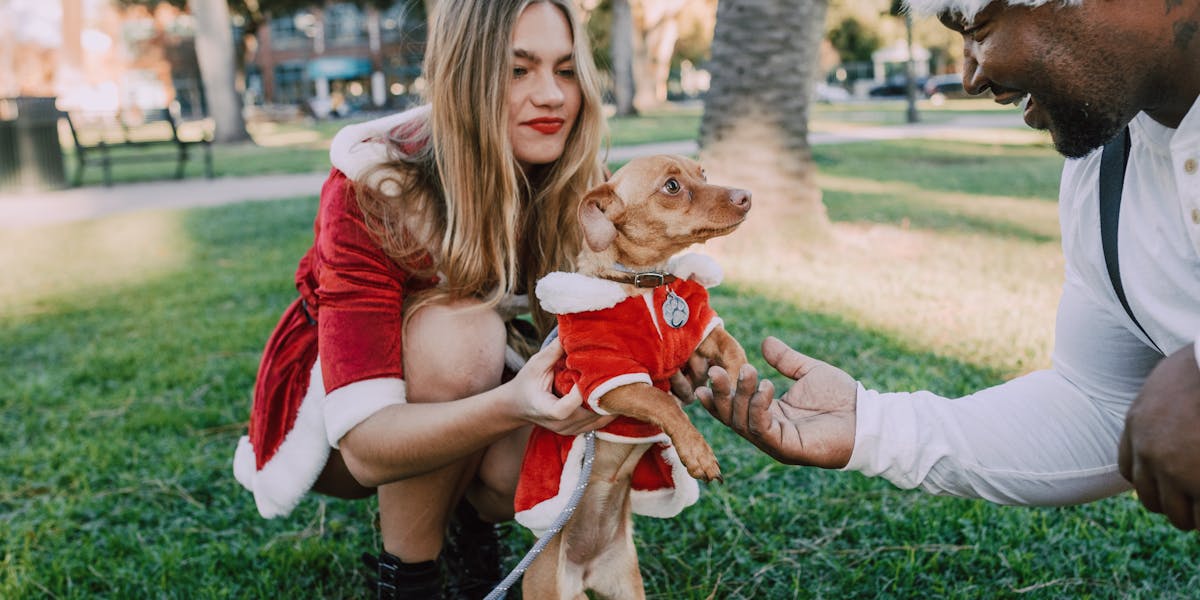 presente para quem ama dachshund